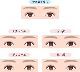 まつ毛メイクの変化比較セット　眉あり両目タイプ｜マスカラ・マツエク・マツパにも