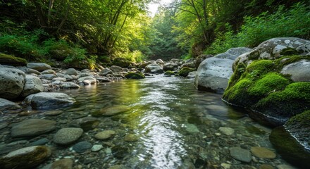 Obraz premium Serene Mountain Stream: Crystal Clear Water Flowing Through Lush Green Forest