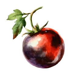 Watercolor painting of a ripe dark red and purple tomato with green leaves and stem Fresh organic vegetable illustration for cooking recipes menus and healthy eating designs Isolated on white
