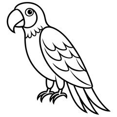 Clean Macaw Line Drawing Vector