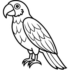 Clean Macaw Line Drawing Vector