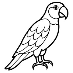 Clean Macaw Line Drawing Vector