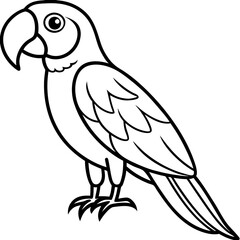 Clean Macaw Line Drawing Vector