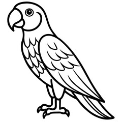 Clean Macaw Line Drawing Vector