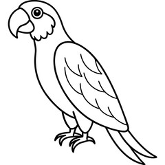 Clean Macaw Line Drawing Vector