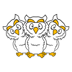 3 owls team friends party crew three brothers fun Isolated Vector Graphic Design Illustration
