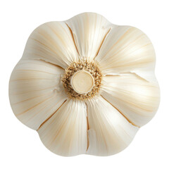 A beautifully detailed flower resembling a garlic bulb, showcasing delicate petals and a unique central structure.