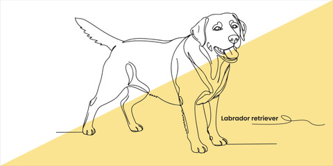Labrador retriever The Labrador Retriever is a beloved dog breed known for its friendly demeanor, intelligence, and loyalty, making it a popular choice for families and assistance roles.


