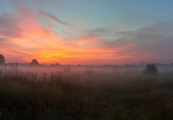 Fototapeta premium Foggy Meadow Landscape at Sunrise with Colorful Sky and Tall Grass