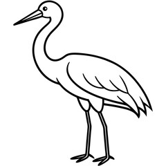 Clean Stork Line Drawing Vector