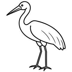 Clean Stork Line Drawing Vector