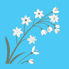 Baby’s Breath vector Illustrator Artwork