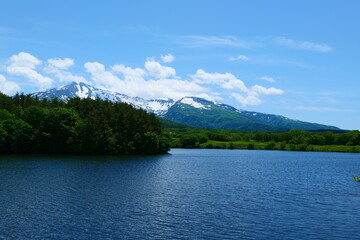 初夏の冬師湿原より鳥海山を臨む。にかほ、秋田、日本。5月下旬。
