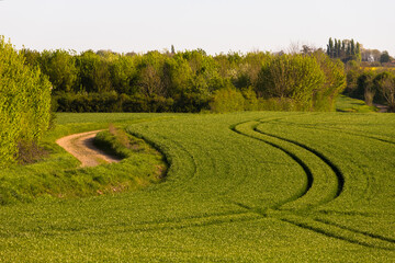 chemin de campagne