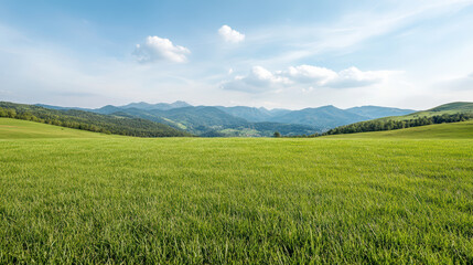 Fototapeta premium Lush green landscape with rolling hills and distant mountains under clear blue sky