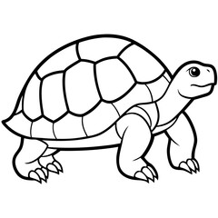 Clean Tortoise Line Art Design