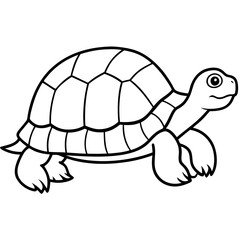 Clean Tortoise Line Art Design