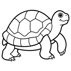 Clean Tortoise Line Art Design