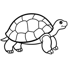 Clean Tortoise Line Art Design