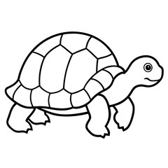 Clean Tortoise Line Art Design