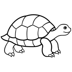 Clean Tortoise Line Art Design