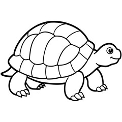 Clean Tortoise Line Art Design