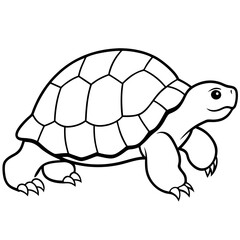 Clean Tortoise Line Art Design