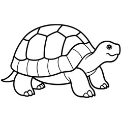 Clean Tortoise Line Art Design