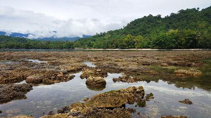 Ocean view of exposed coral reef at low tide on tropical island of Bougainville, Papua New Guinea © Travelanza