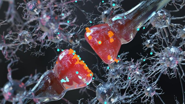 neurotransmitter release mechanisms. Neurotransmitters are packaged into synaptic vesicles transmit signals from a neuron to a target cell across a synapse. opioids, Acetylcholine release, 3d render