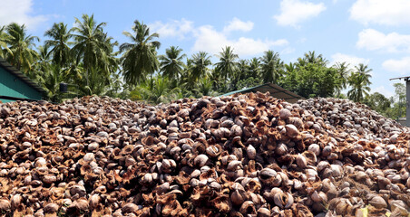 Coco shell stock, coco peat