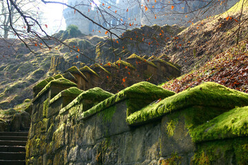 Ancient path to the mossy castle