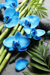 Beautiful blue orchid flowers, bamboo stems, green leaves and spa stones on wet grey surface, closeup