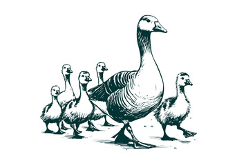 Goose hand drawn sketch illustration vector