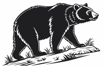 vector bear silhouette
