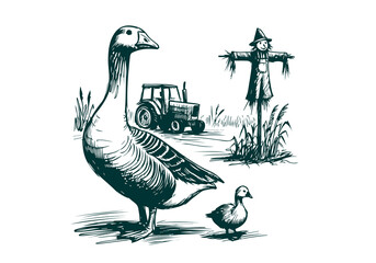 Goose hand drawn sketch illustration vector
