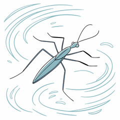 Cartoon Water Strider - Nature Illustration For Education