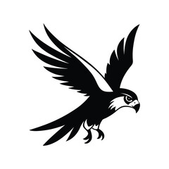 a black and white  falcon diving with talons..eps