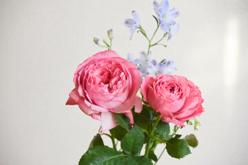 デルフィニウムとばら