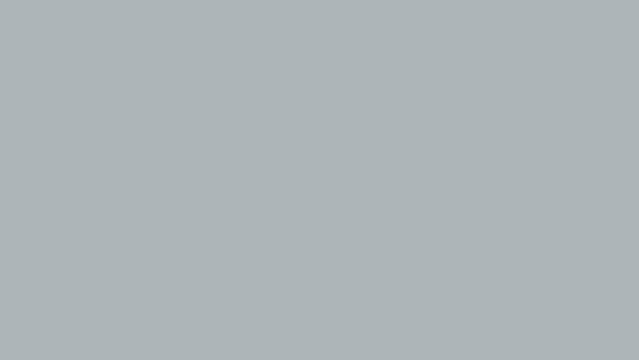 Muted, light gray solid color background