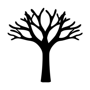 A silhouette of a stark tree exhibiting the beauty of winter season