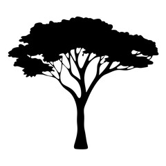 Black silhouette illustration of a single Acacia tree on a white background