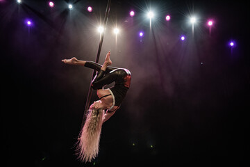 Female pole dancer dynamic pose under spotlight