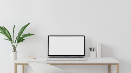Minimalist workspace with laptop, plant, and stationery on a white desk against plain wall.