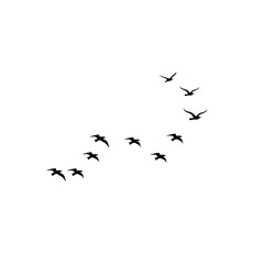 Scattered silhouettes of swallows in flight on white background — a serene, minimalist symbol of freedom.