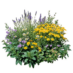 Isolated flowering bush with yellow, purple, and green plants on transparent background, ideal for...