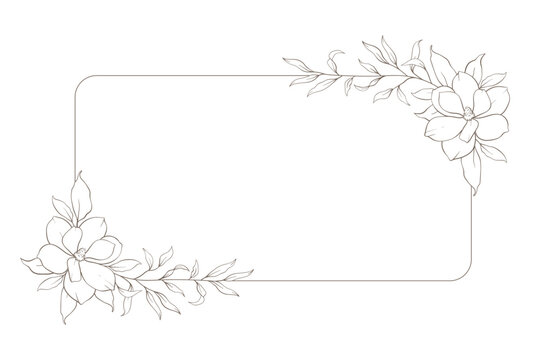 Hand drawn line floral frame, corner. Minimal botanical wedding border element. Set of wreath, magnolia flowers, eucalyptus leaf branches, tropical leaves, plant, wildflower. Elegant floral logo.