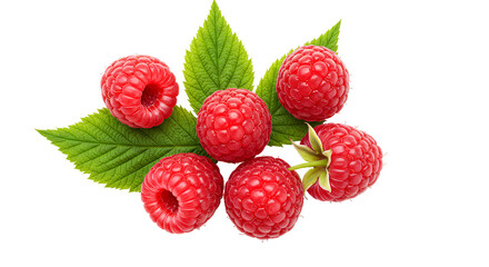 raspberry png. raspberries fruit top view flat lay isolated. fresh and organic raspberry fruit png. Fresh raspberries PNG for healthy food designs. vegan vegetarian raspberry isolated
