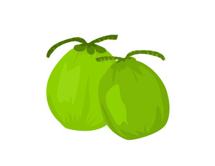 Coconut Ice Drink Illustration 