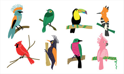 Set of exotic birds. Funny characters. Vector illustration. 